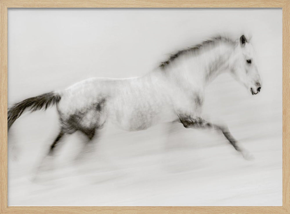 The unique brush stroke | Poster