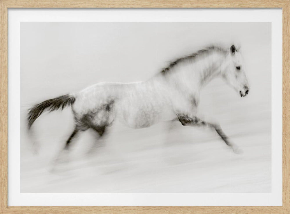 The unique brush stroke | Poster