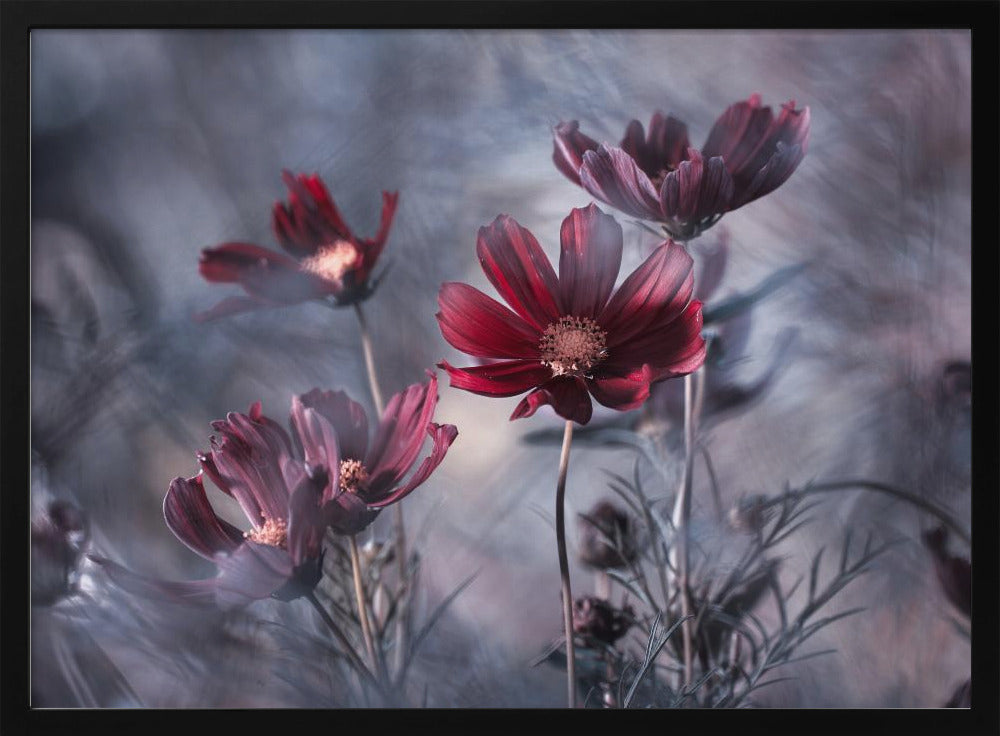 Cosmoslicious | Poster