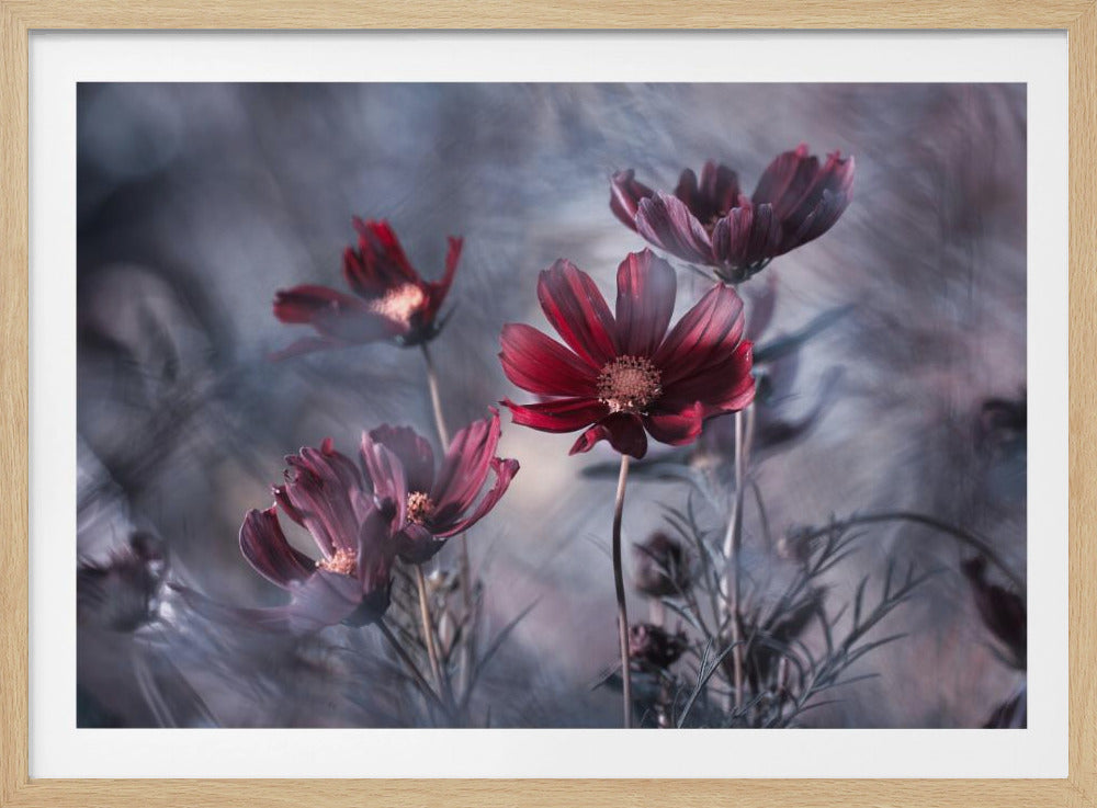 Cosmoslicious | Poster