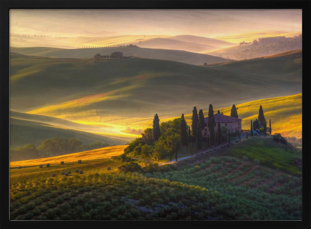 Of green and gold | Poster