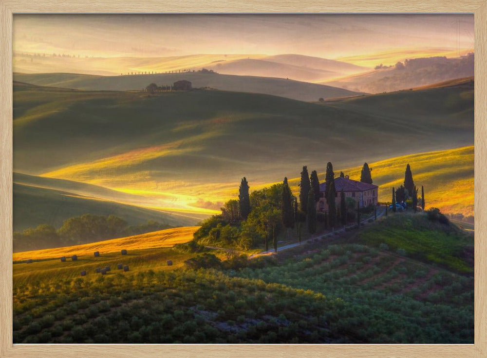 Of green and gold | Poster