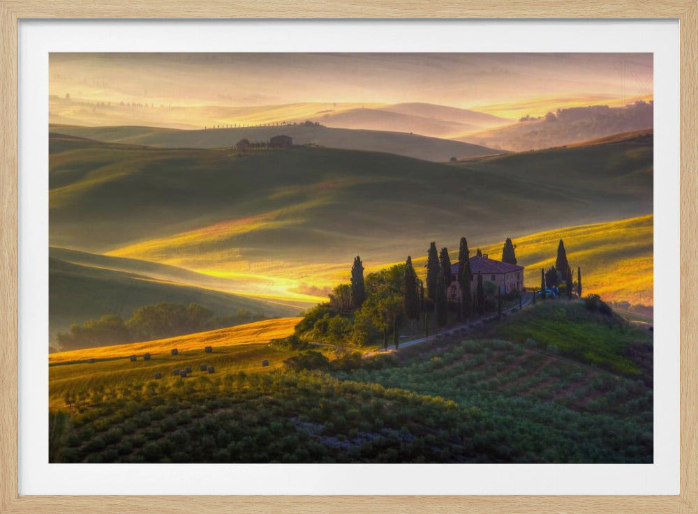 Of green and gold | Poster