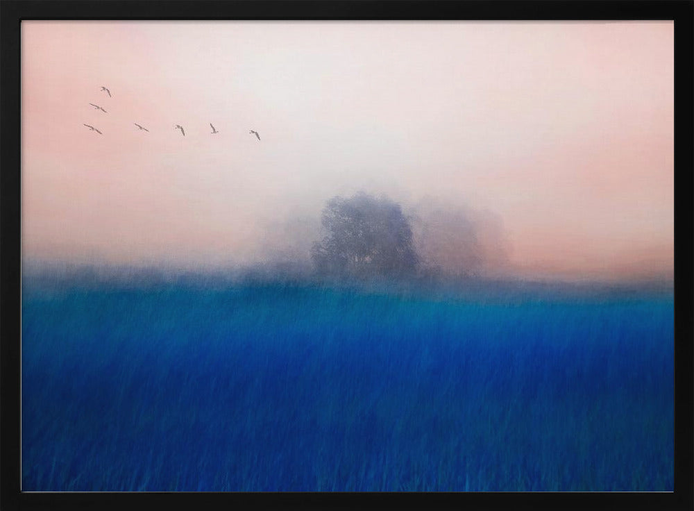 The Tree on the Blue | Poster