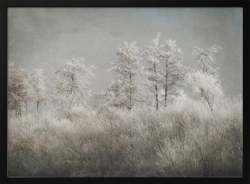 Cold morning | Poster