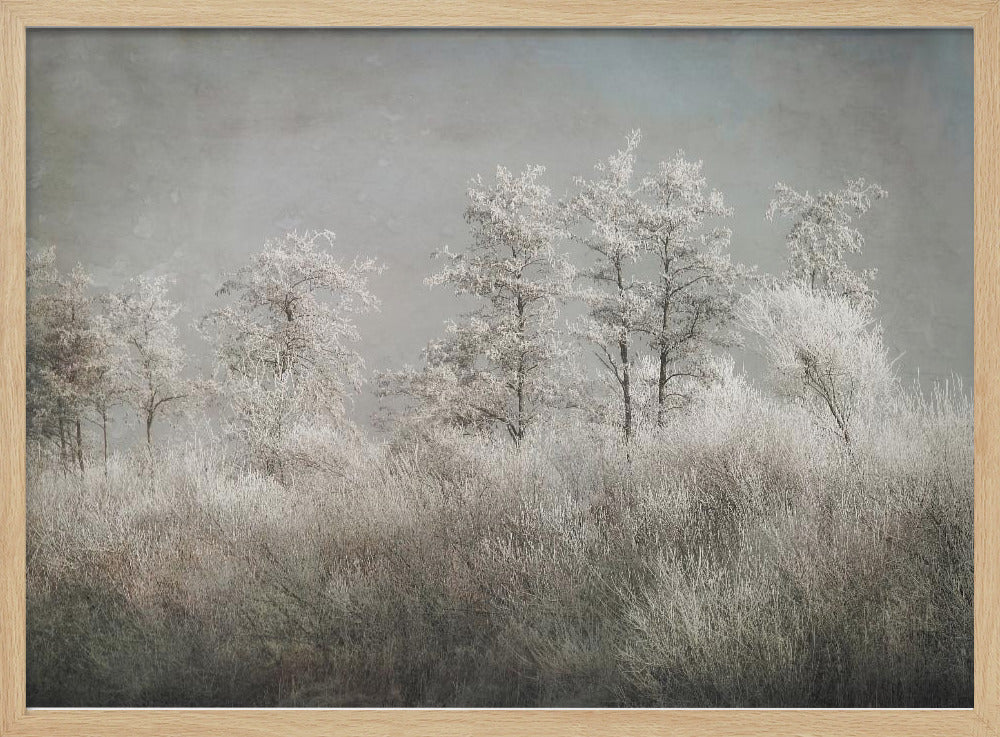 Cold morning | Poster