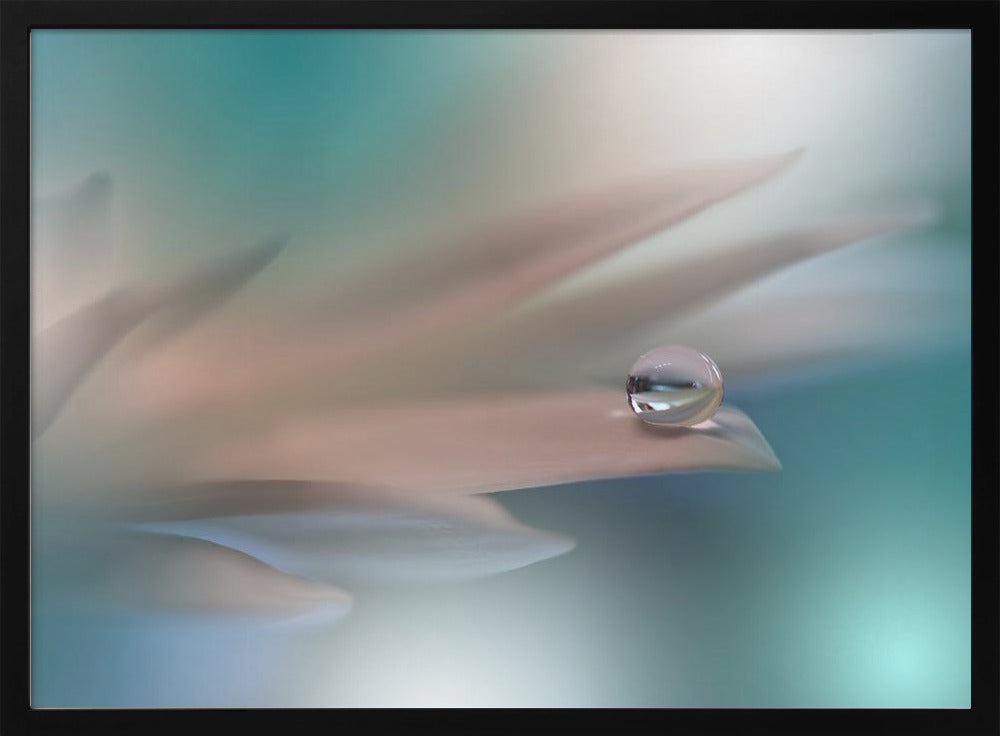 White Symphony.. | Poster