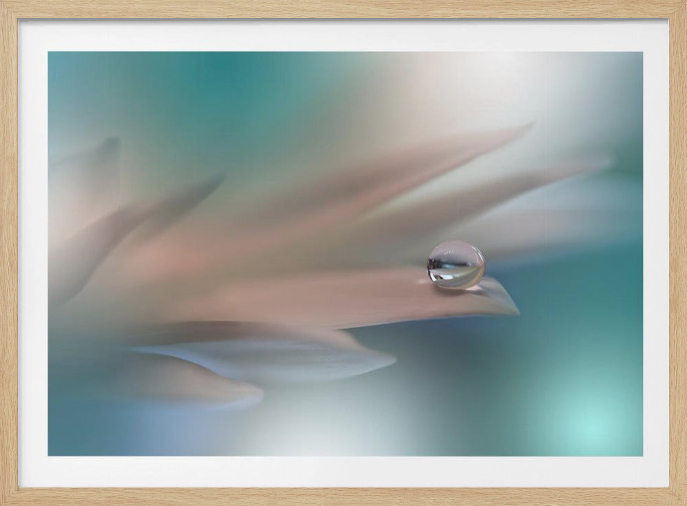 White Symphony.. | Poster