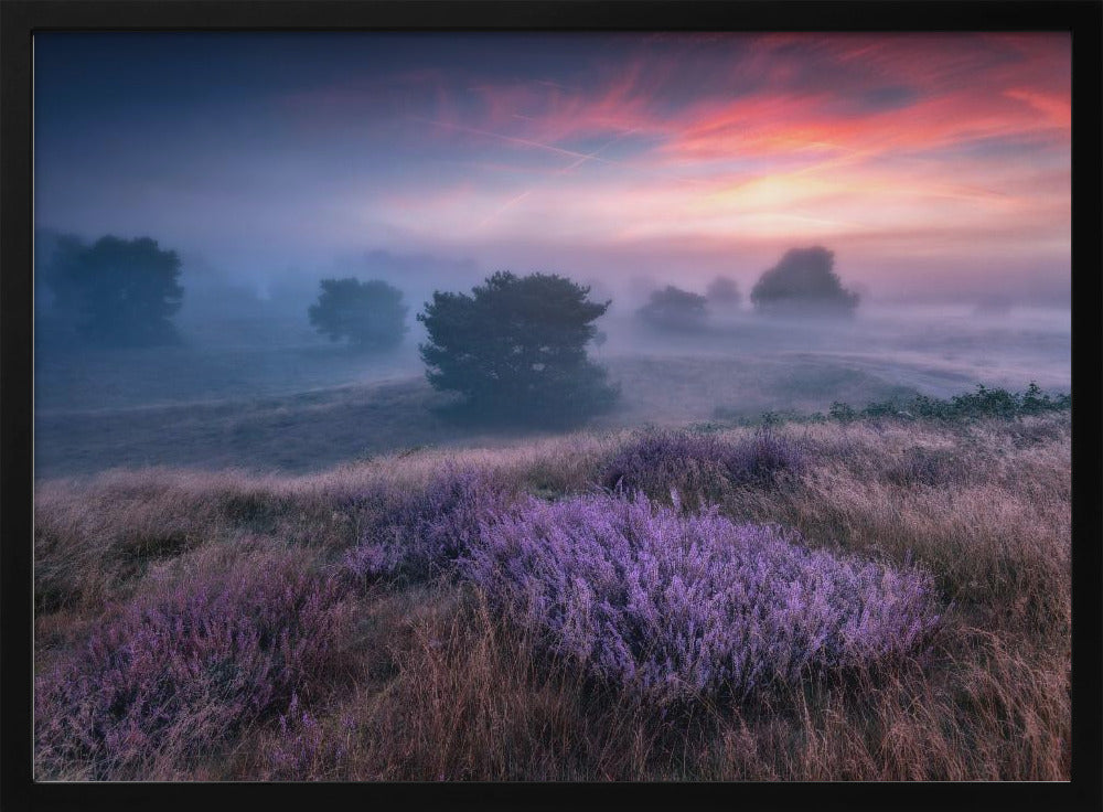 &quot;the colors of heather&quot; | Poster