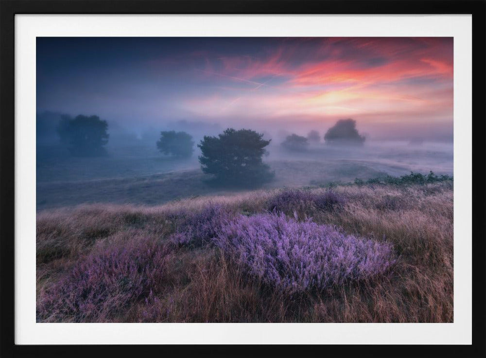 &quot;the colors of heather&quot; | Poster