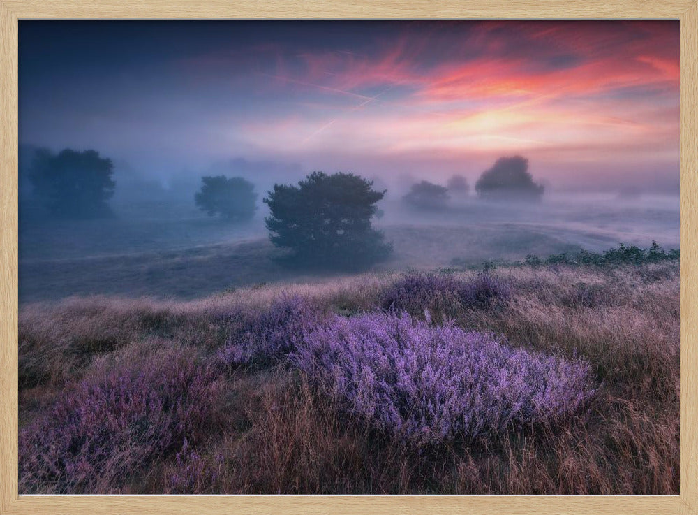 &quot;the colors of heather&quot; | Poster