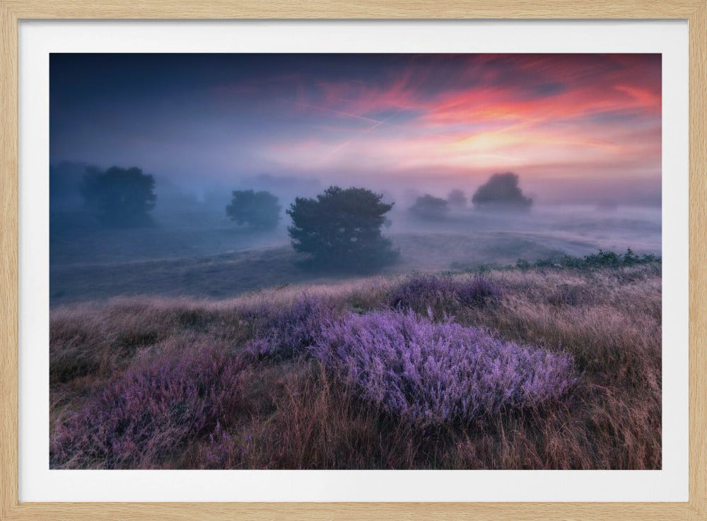 &quot;the colors of heather&quot; | Poster