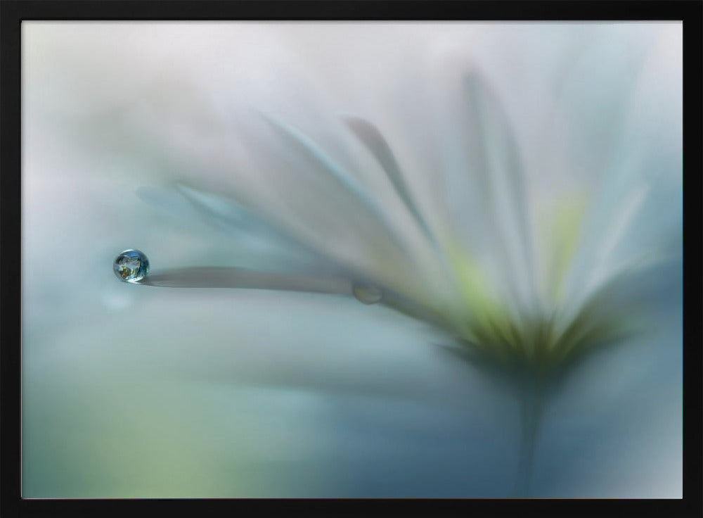 Fields of Hope.. | Poster