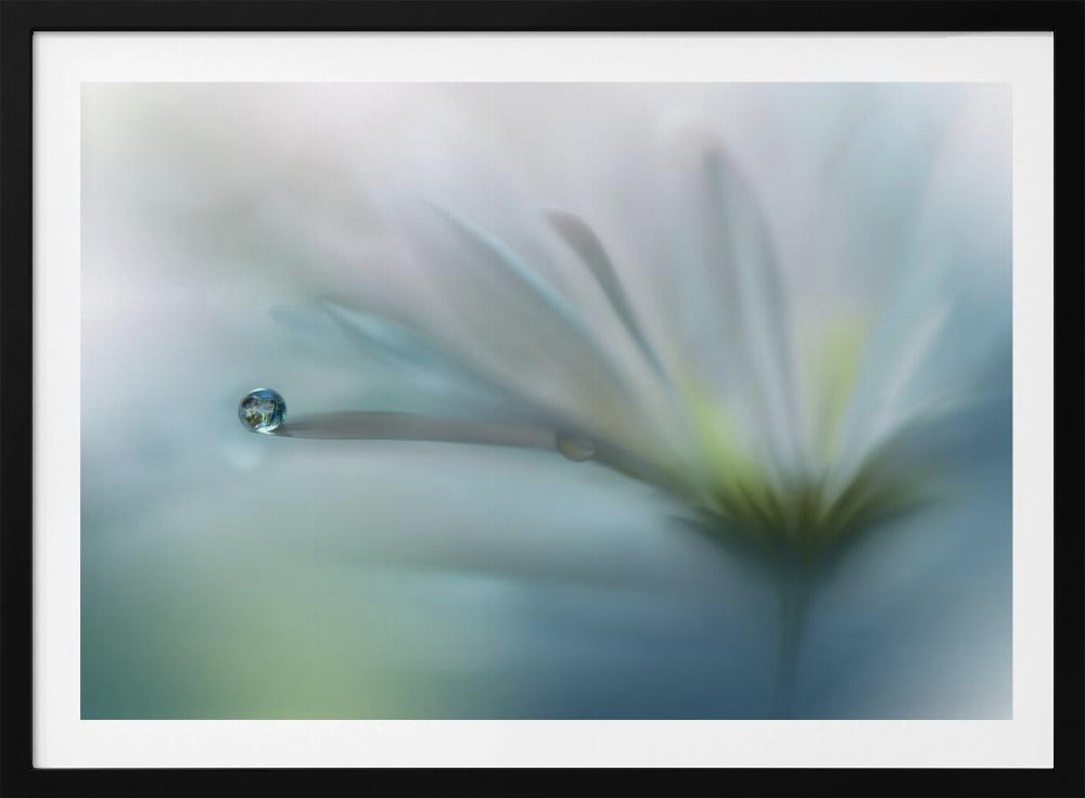 Fields of Hope.. | Poster