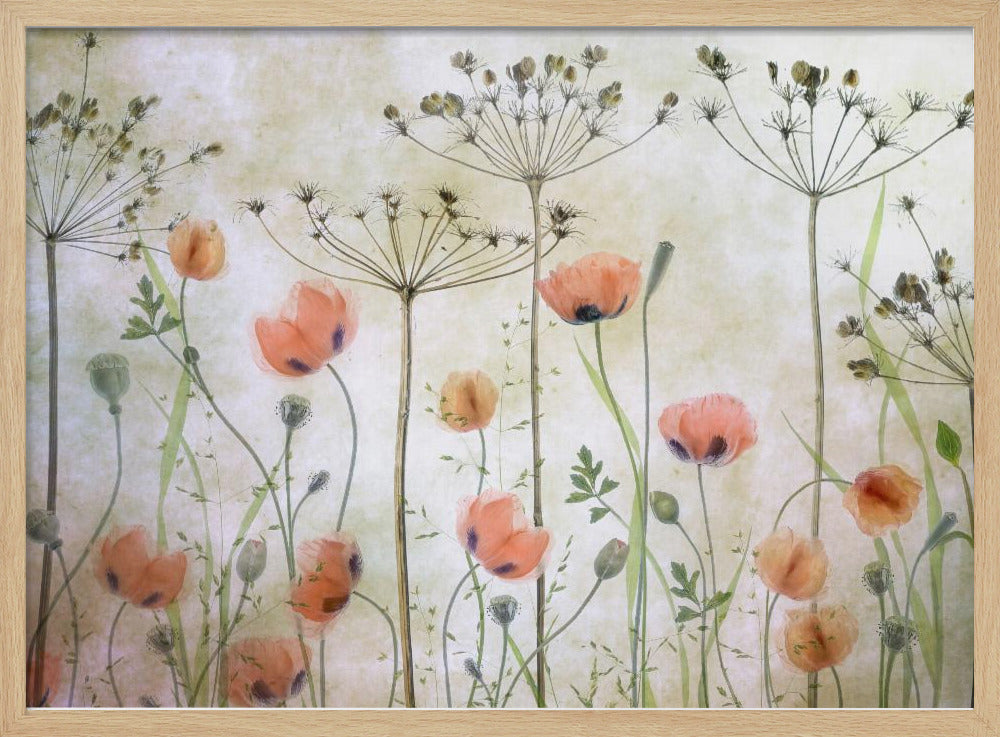 Poppy Meadow | Poster