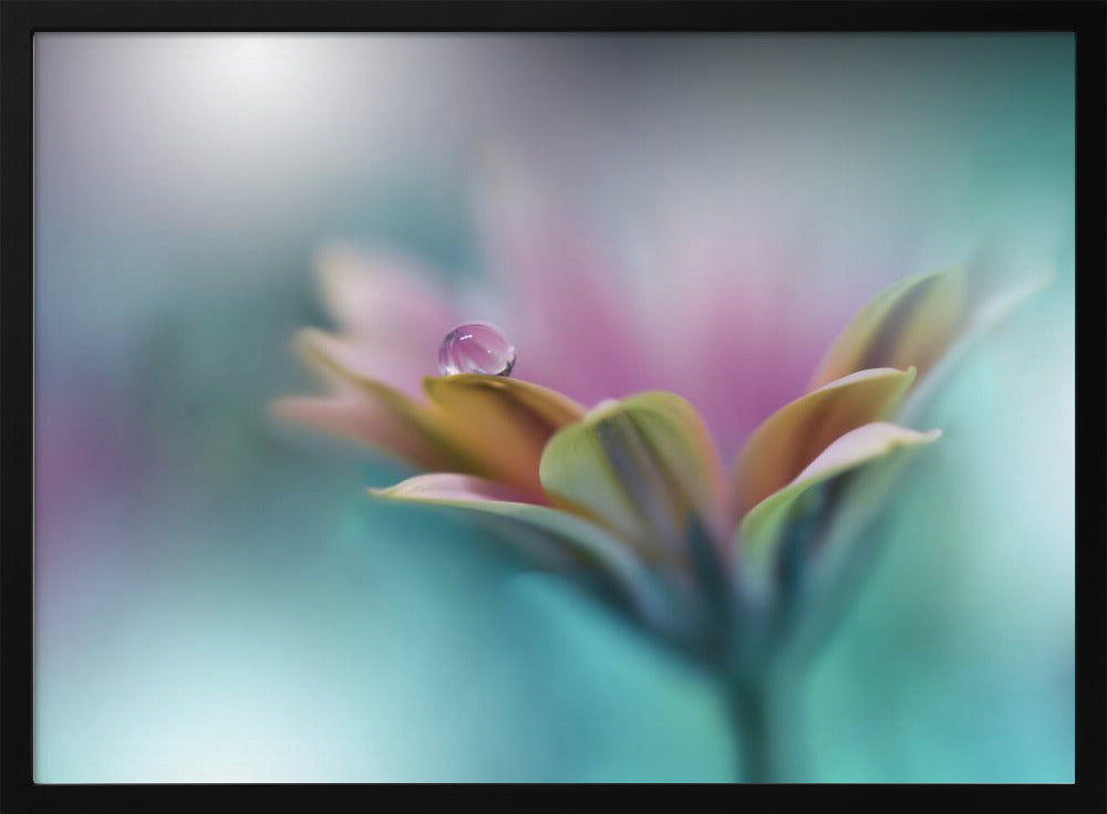 Memories of Sea.. | Poster