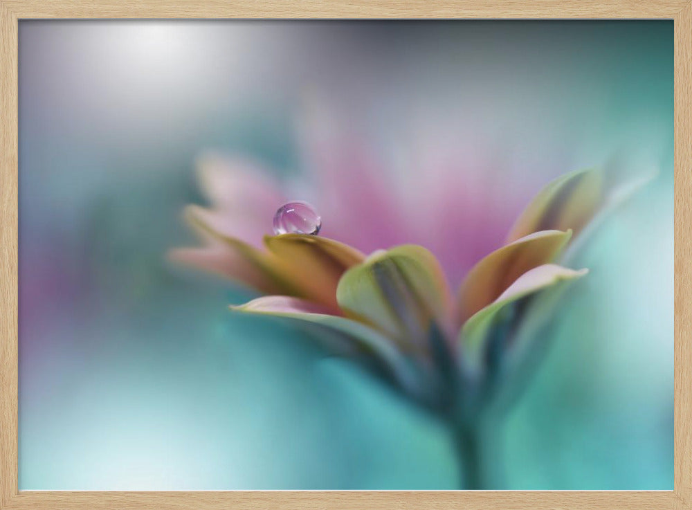 Memories of Sea.. | Poster