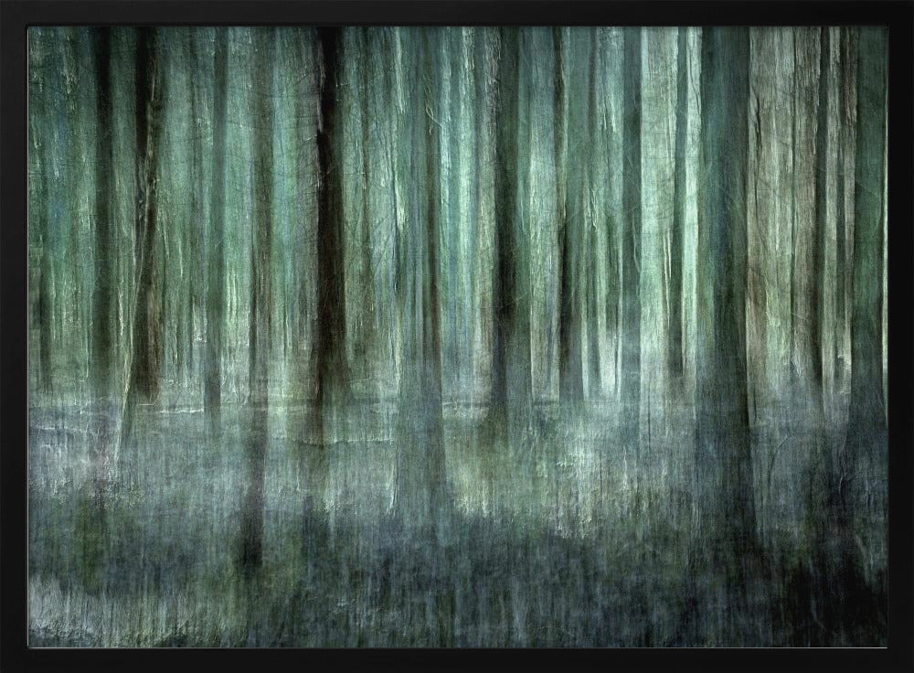 Forest light | Poster