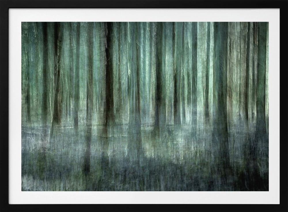 Forest light | Poster