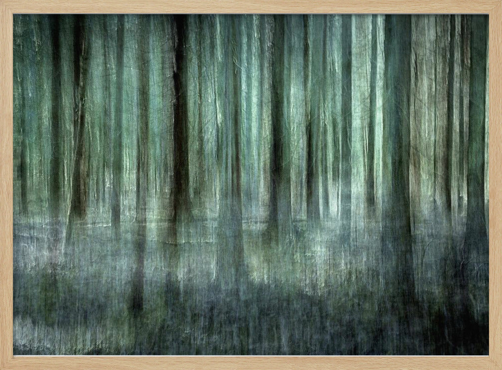 Forest light | Poster