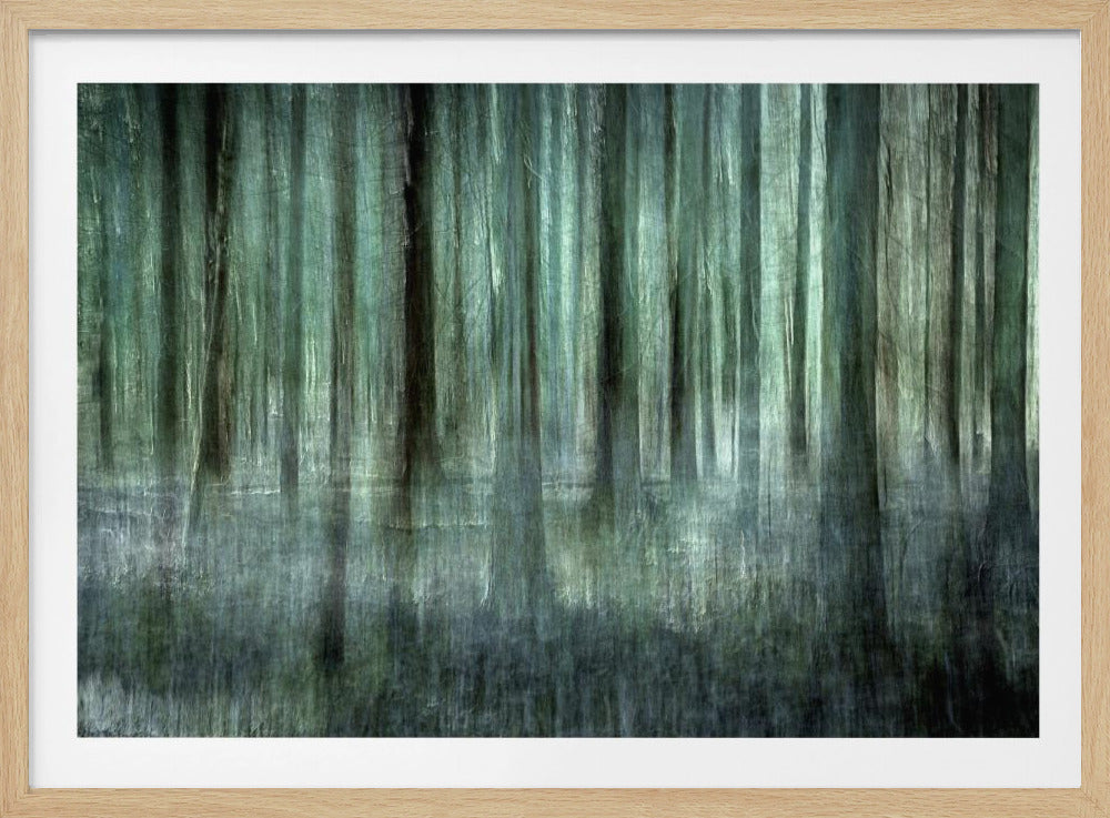 Forest light | Poster