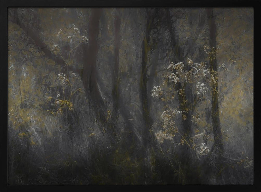 Cow parsley | Poster