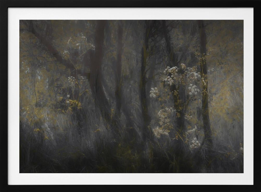 Cow parsley | Poster