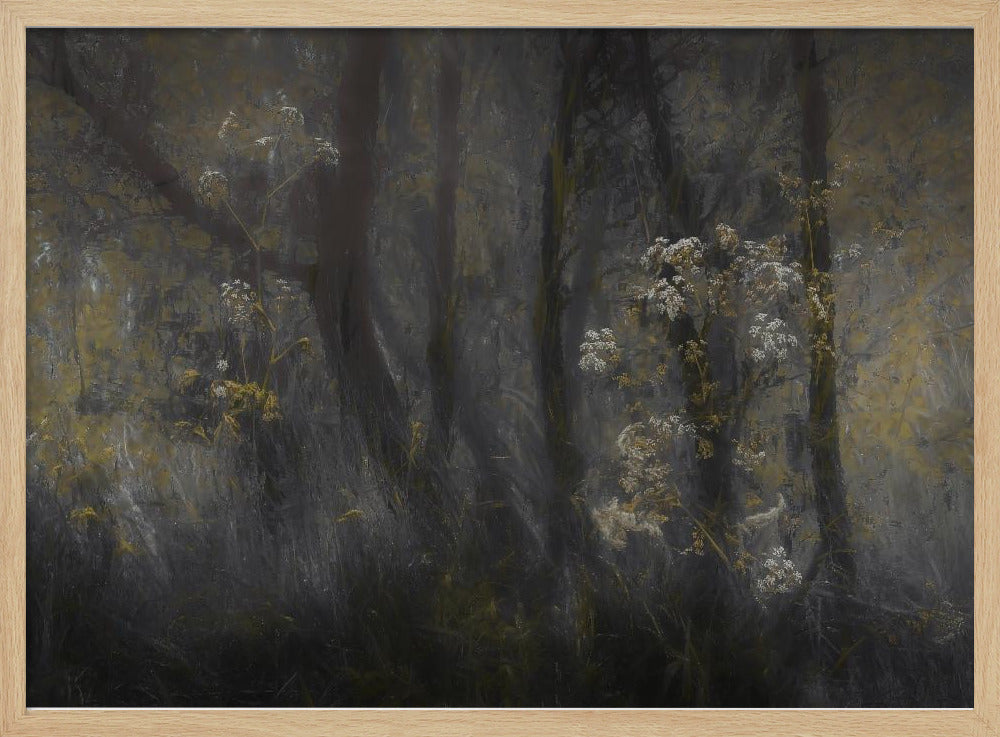 Cow parsley | Poster