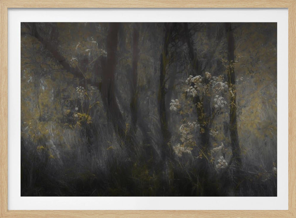 Cow parsley | Poster