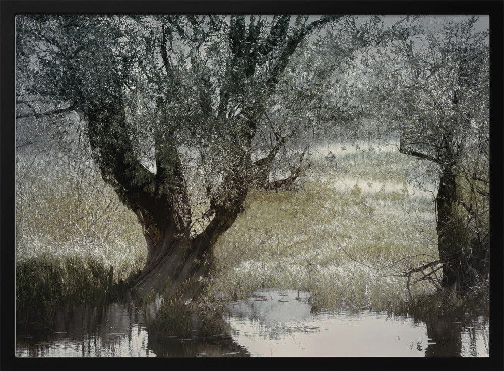 On the water side | Poster