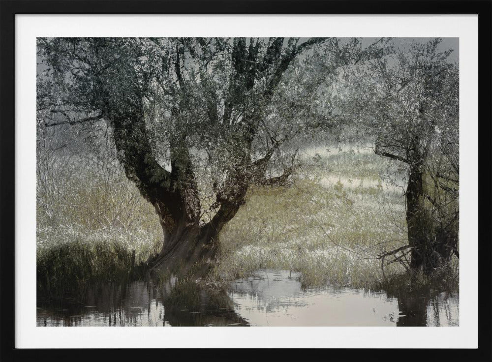 On the water side | Poster