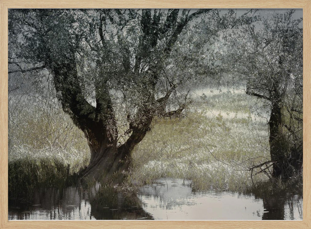 On the water side | Poster