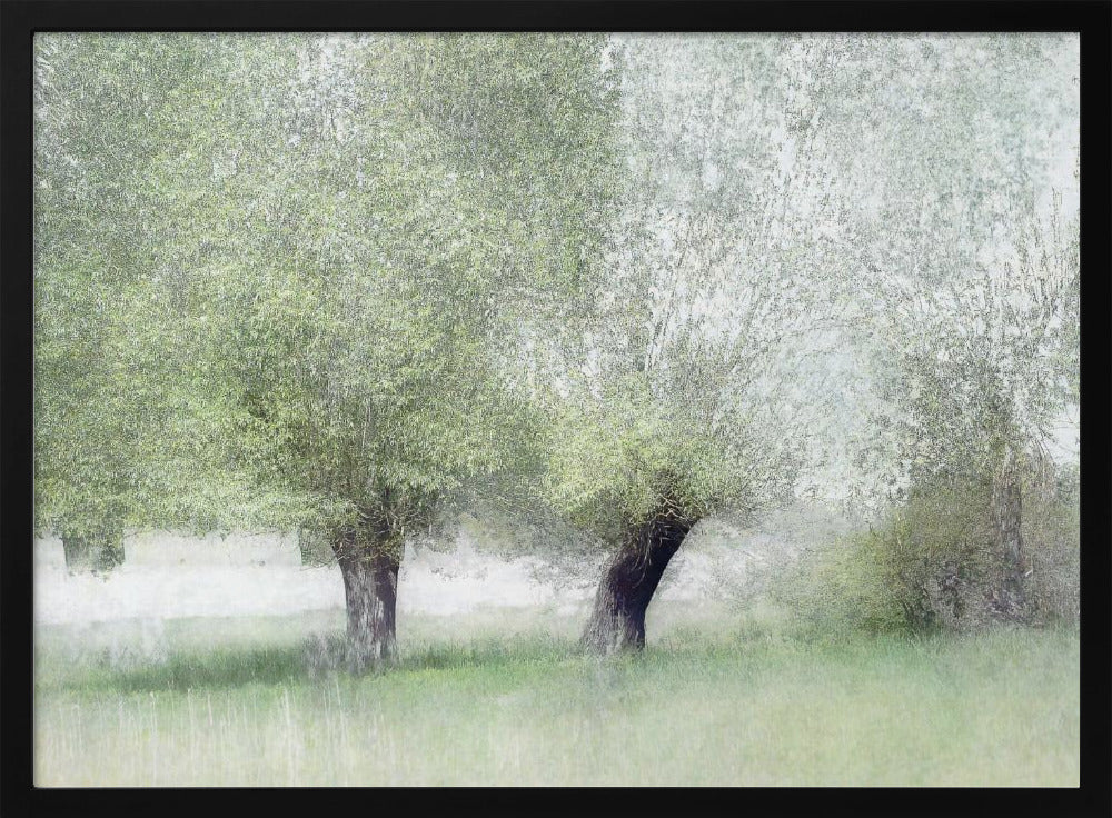 Young green | Poster