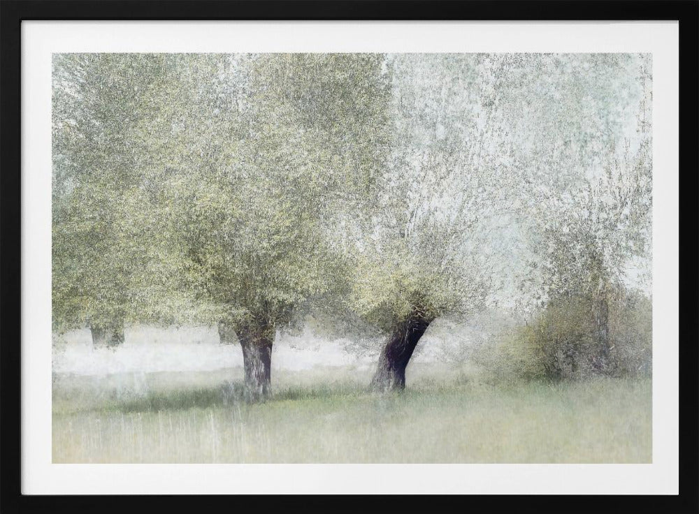 Young green | Poster