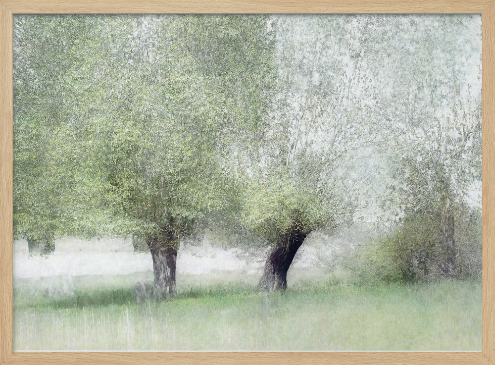 Young green | Poster