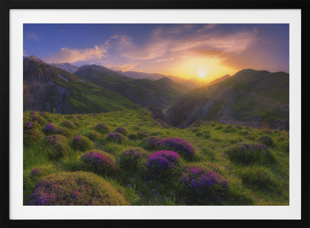 spring in show | Poster