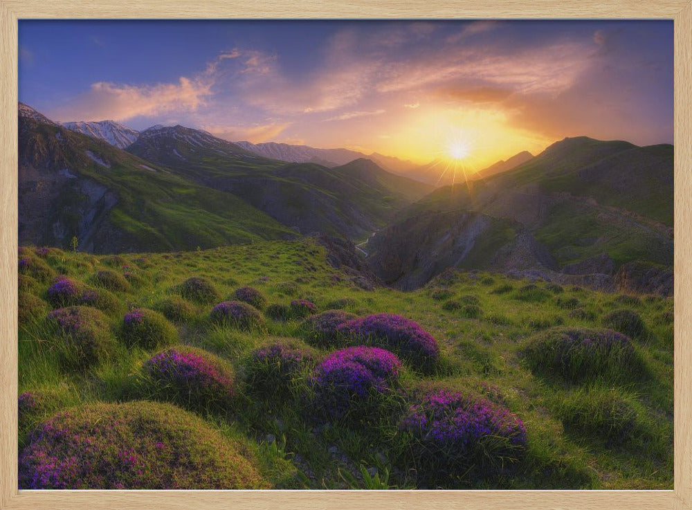 spring in show | Poster