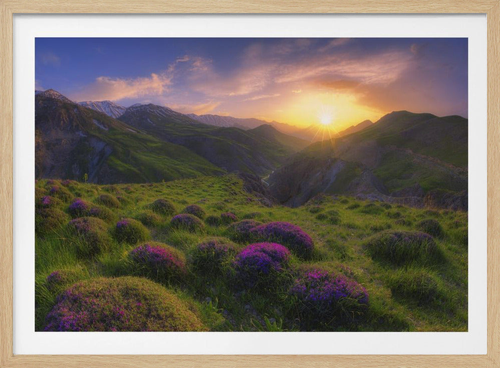 spring in show | Poster