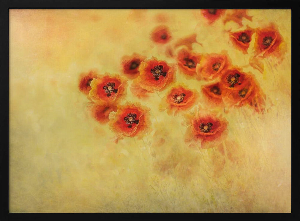 Summer feeling | Poster