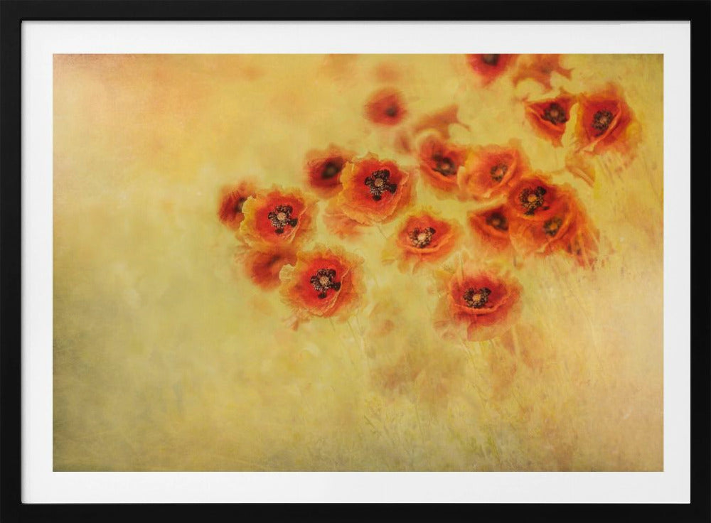 Summer feeling | Poster