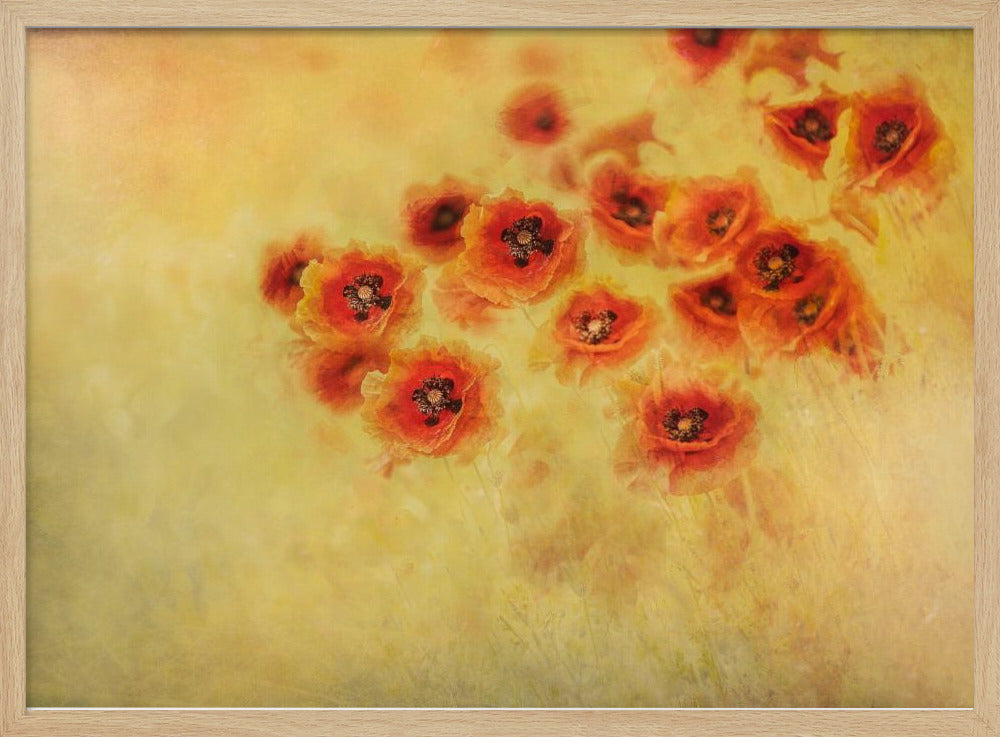 Summer feeling | Poster