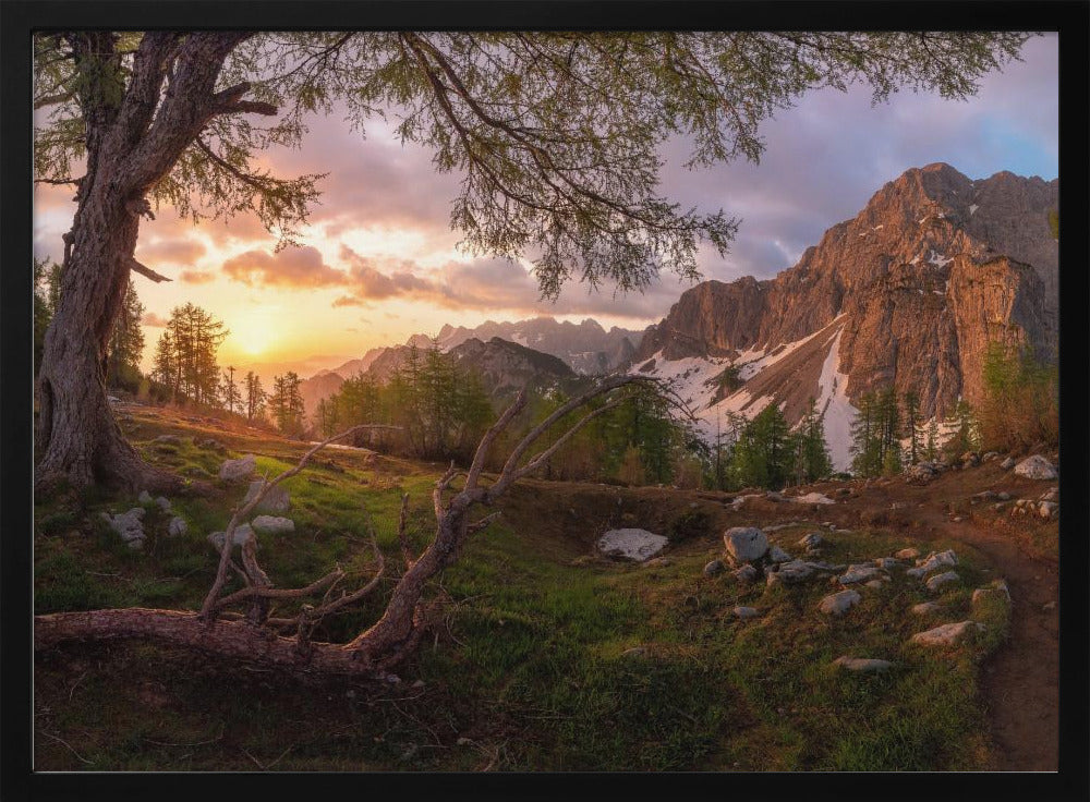 Magical morning | Poster