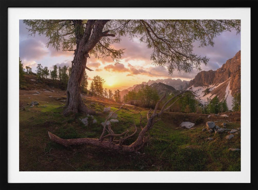 Magical morning | Poster