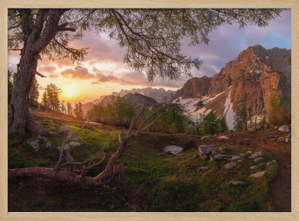 Magical morning | Poster