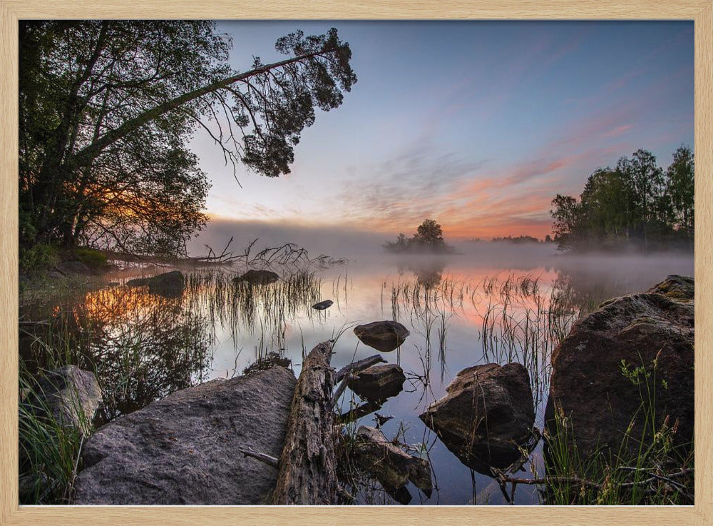 peaceful morning | Poster