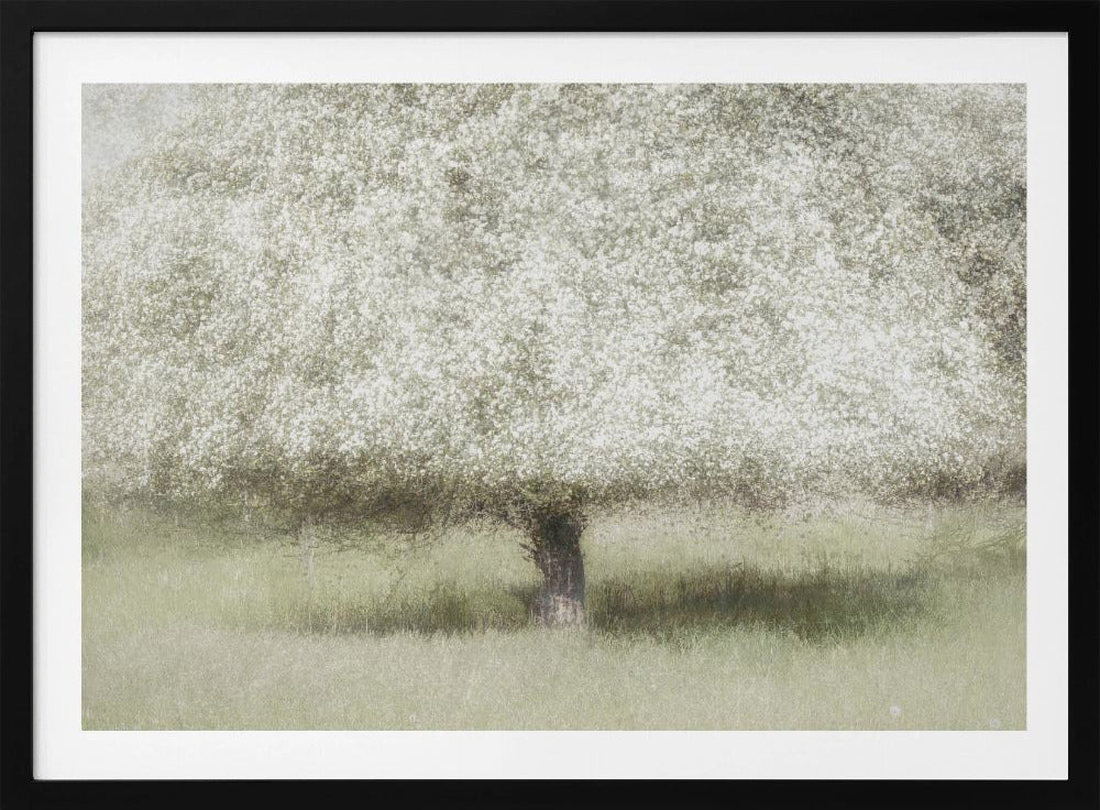 In the backyard | Poster