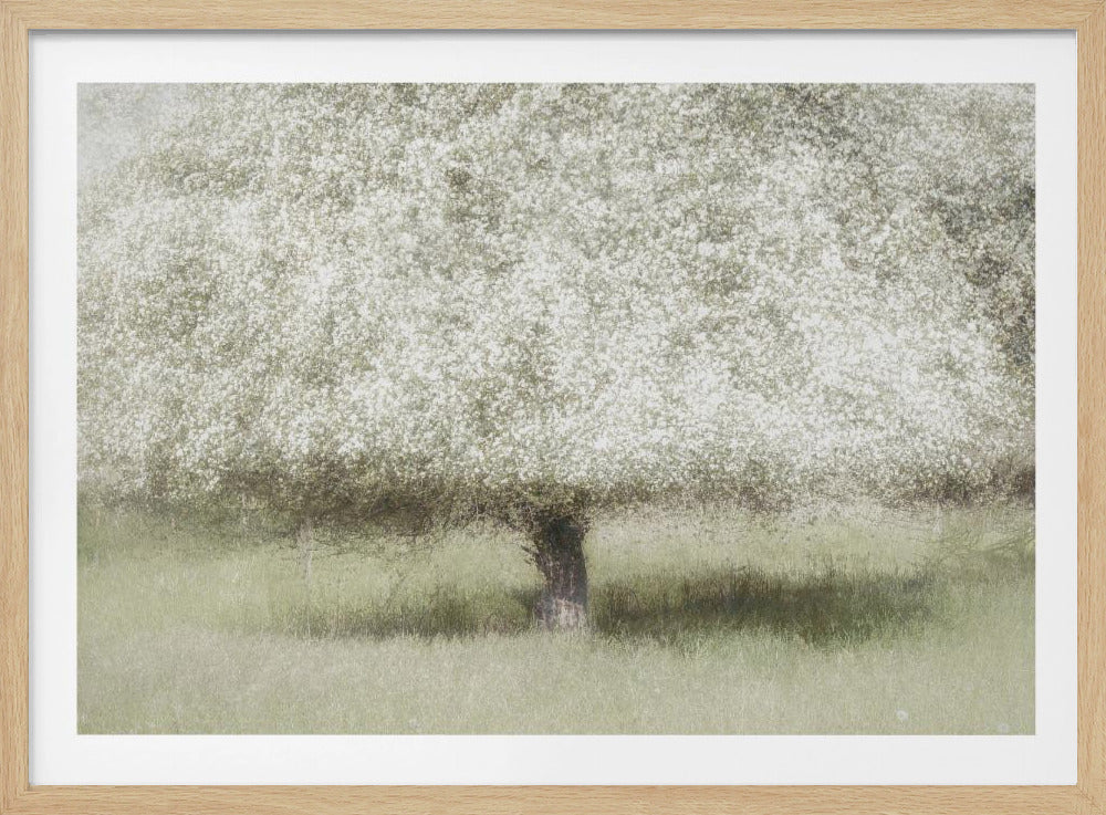 In the backyard | Poster