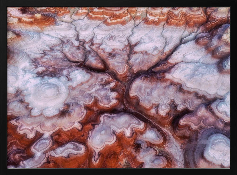 A Tree in the Desert | Poster