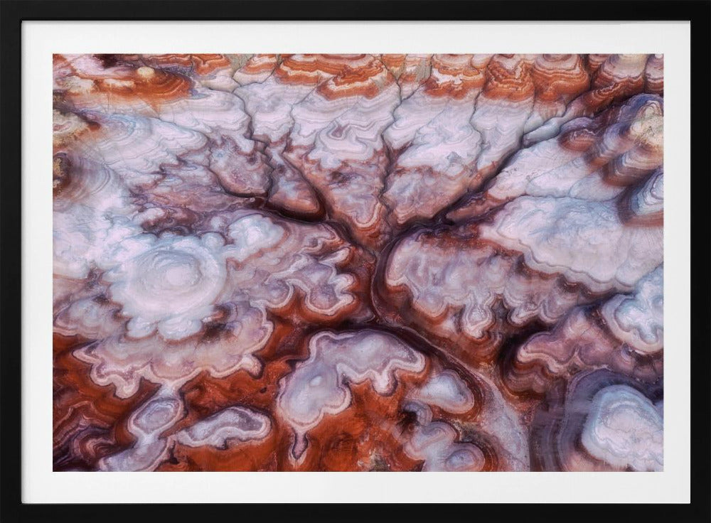 A Tree in the Desert | Poster