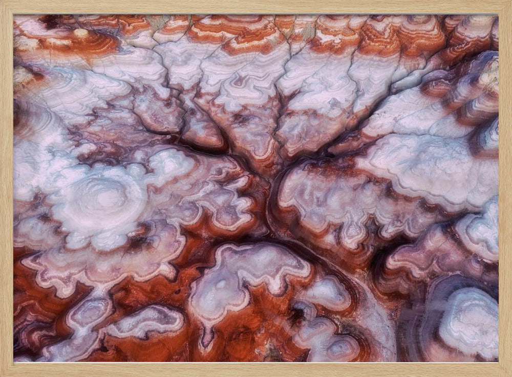 A Tree in the Desert | Poster